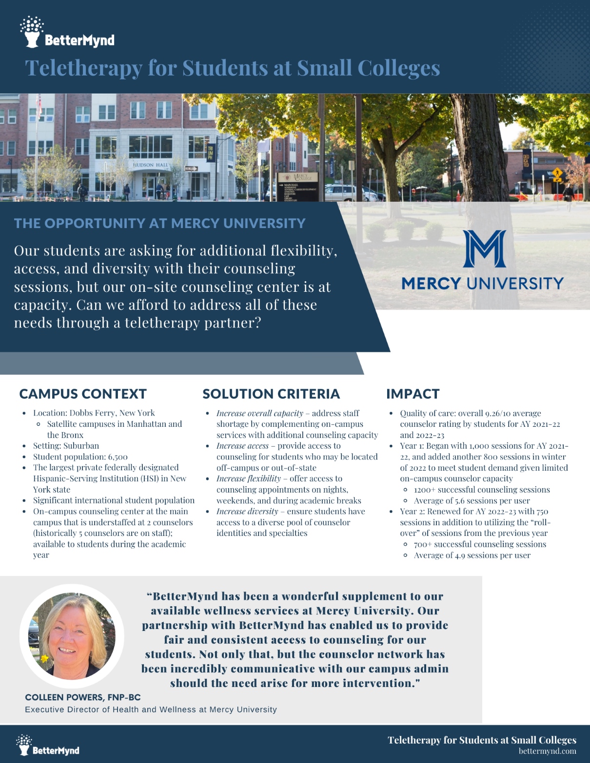 Teletherapy for Students at Small Colleges. The opportunity at Mercy University